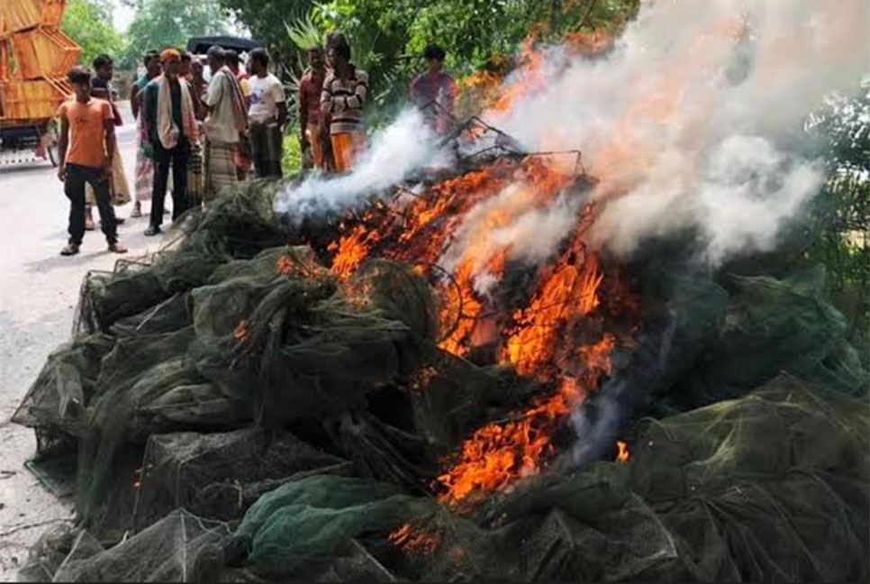 পাবনায় নিষিদ্ধ জাল পুড়িয়ে ধ্বংস