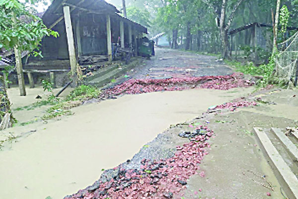 বন্যায় বেহাল ৫২৪ কিমি সড়ক