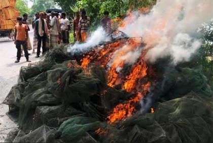 পাবনায় নিষিদ্ধ জাল পুড়িয়ে ধ্বংস