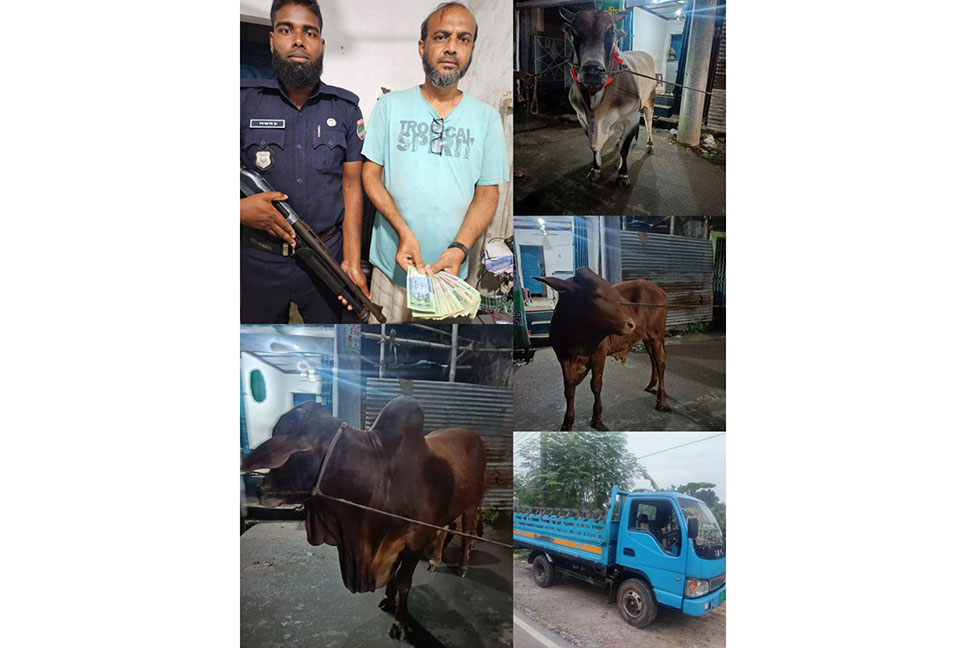 
চুয়াডাঙ্গায় গরু চুরির অভিযোগে আটক ১ 