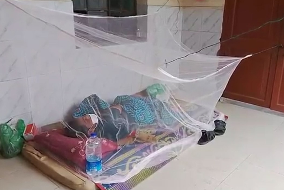ঝিনাইদহে বাড়ছে ডেঙ্গু আক্রান্তের সংখ্যা