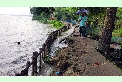 পানগুছি নদীর ভাঙন বেড়েই চলছে, ঝুঁকিতে ২০০০ পরিবার