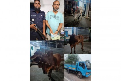 
চুয়াডাঙ্গায় গরু চুরির অভিযোগে আটক ১ 
