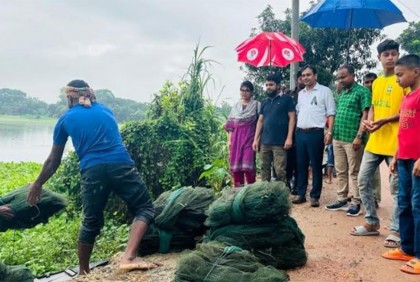 ভাঙ্গায় চায়না দুয়ারি জাল  ধ্বংস 