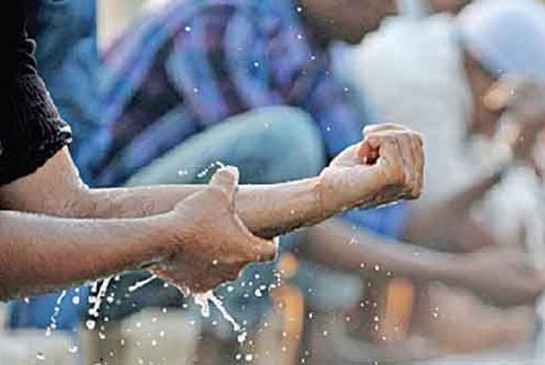 অজুর বহুমুখী উপকার
