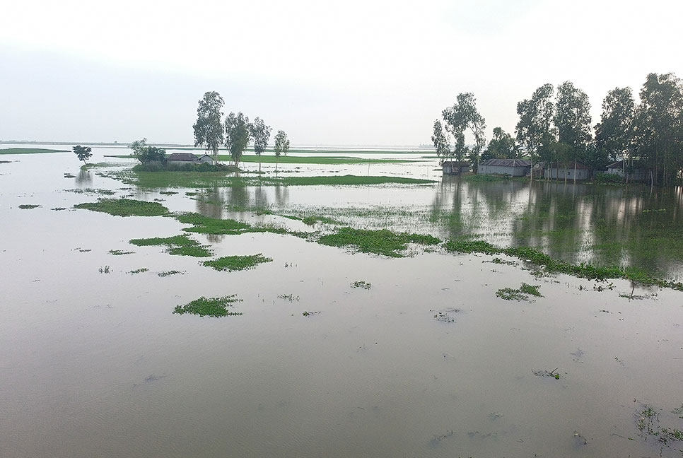 পাহাড়ি ঢলে বিপৎসীমার ওপরে তিস্তার পানি, নিম্নাঞ্চল প্লাবিত