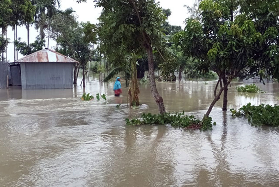 পাহাড়ি ঢলে রংপুরে বন্যা পরিস্থিতি, তলিয়ে গেছে আমন-সবজির ক্ষেত