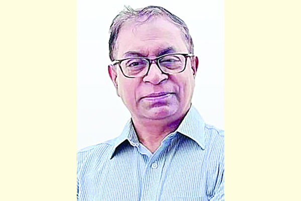 নীলনকশার নির্বাচনে যাব না