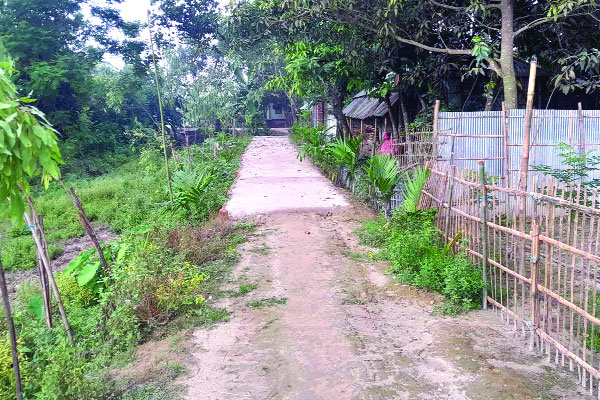 স্বেচ্ছাসেবায় বদলে গেছে গ্রাম