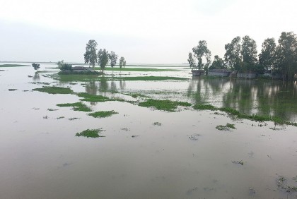 পাহাড়ি ঢলে বিপৎসীমার ওপরে তিস্তার পানি, নিম্নাঞ্চল প্লাবিত