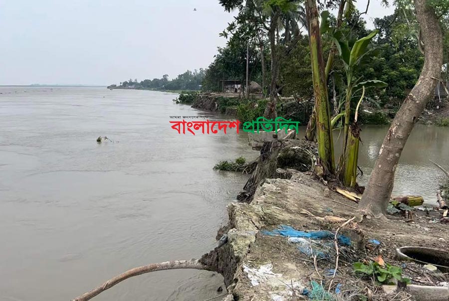 যমুনার পানি বাড়ায় ভাঙনও বাড়ছে