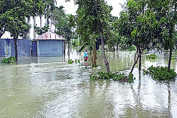 শঙ্কা জাগিয়ে বাড়ছে পানি
