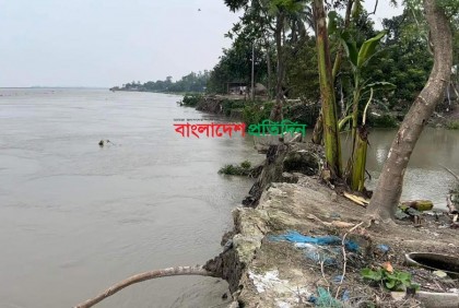 যমুনার পানি বাড়ায় ভাঙনও বাড়ছে