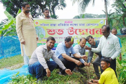সড়কে
সজিনা চারা রোপণ কর্মসূচির উদ্বোধন  