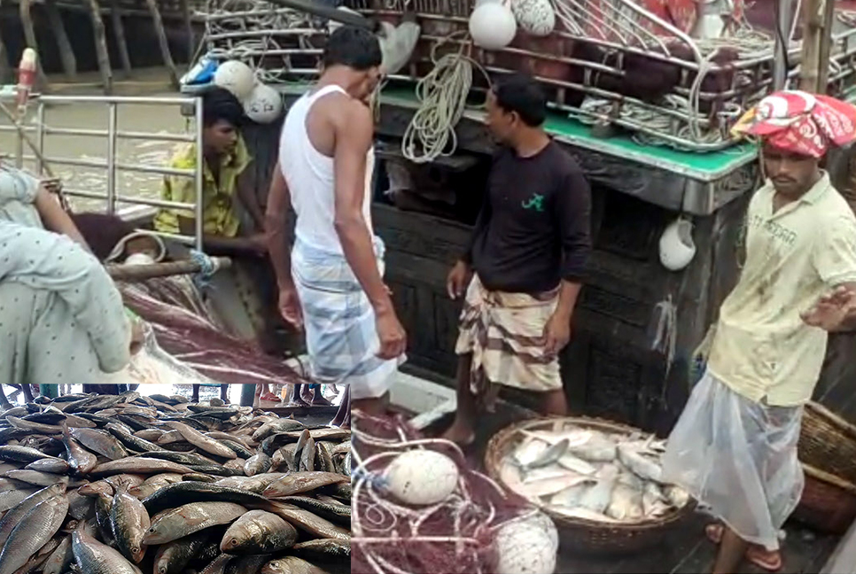 জেলের জালে ধরা পড়লো ১৭০ মণ ইলিশ!