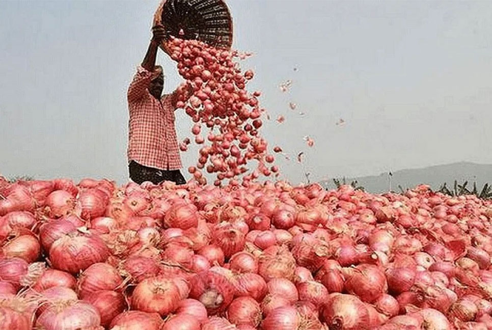 পিয়াজের উৎপাদন বাড়াতে ১৬ কোটি টাকার প্রণোদনা