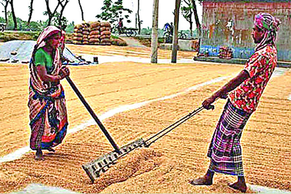 উত্তরের ১০ হাজার মিল চাতাল বন্ধ