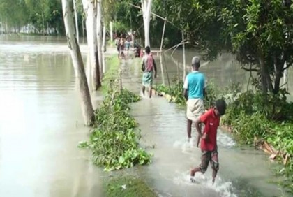যমুনার পানি বেড়ে সিরাজগঞ্জের নিম্নাঞ্চল প্লাবিত