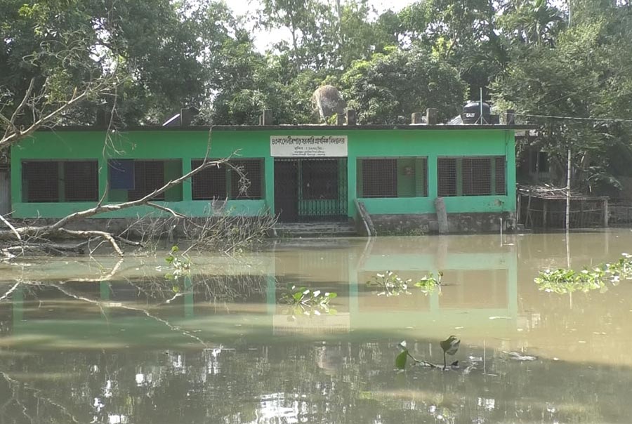 জামালপুরে যমুনার পানি বিপদসীমার উপরে