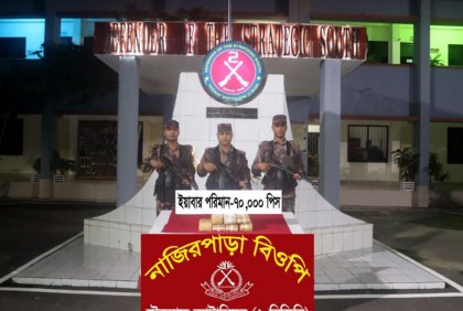 টেকনাফে বিজিবির অভিযান, ৭০ হাজার ইয়াবা উদ্ধার