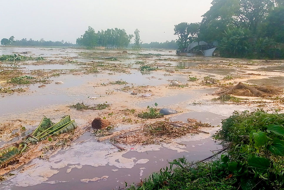 বগুড়ায় যমুনার ভাঙনের শিকার দেড় শতাধিক ঘরবাড়ি  