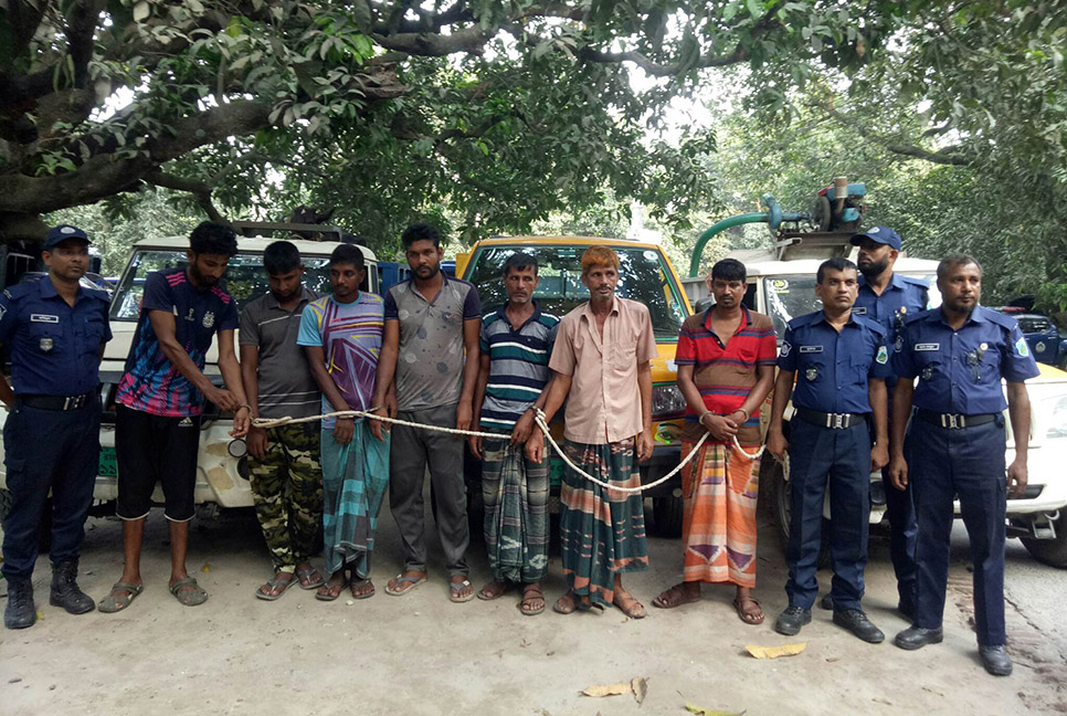 চাঁপাইনবাবগঞ্জে ৭ গরু চোর গ্রেফতার, ৩ লাখ টাকাসহ ৩টি পিকআপ জব্দ

