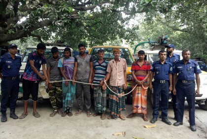 চাঁপাইনবাবগঞ্জে ৭ গরু চোর গ্রেফতার, ৩ লাখ টাকাসহ ৩টি পিকআপ জব্দ

