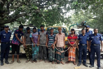 চাঁপাইনবাবগঞ্জে আন্তঃজেলা গরু চোর চক্রের ৭ জন গ্রেফতার