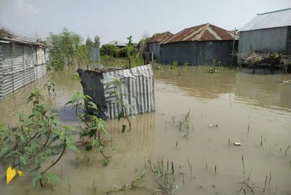 কুড়িগ্রামে ব্রহ্মপুত্র নদের দুই পয়েন্টে পানি বাড়ছে