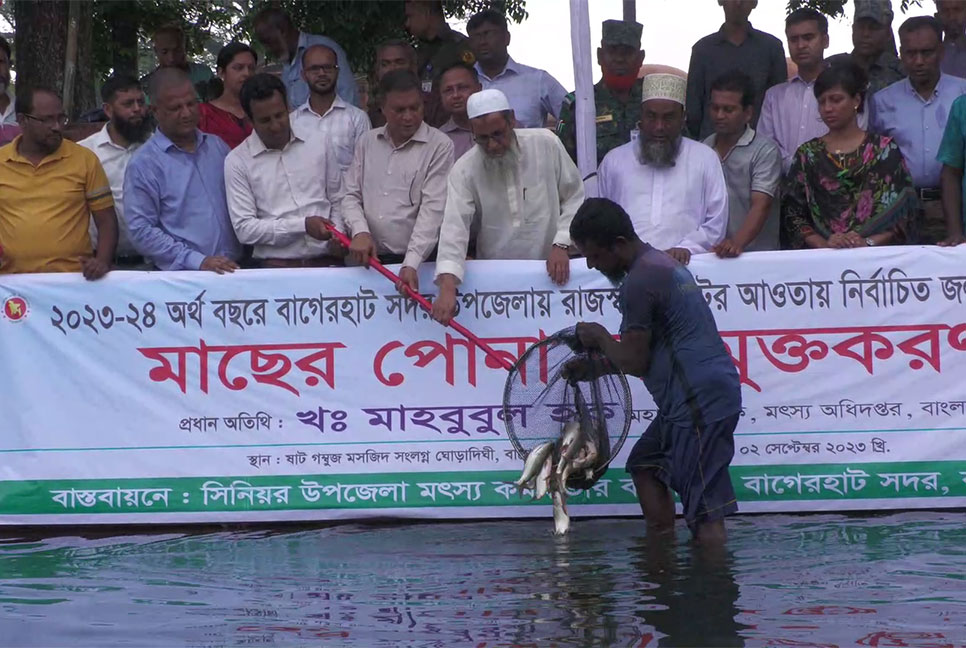 বাগেরহাটে মাছের পোনা অবমুক্ত