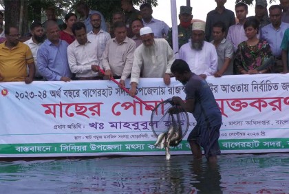 বাগেরহাটে মাছের পোনা অবমুক্ত