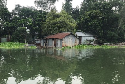 সিরাজগঞ্জে বাড়ছে যমুনার পানি 