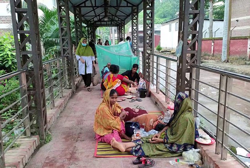 ফরিদপুরে বাড়ছে ডেঙ্গু রোগী

