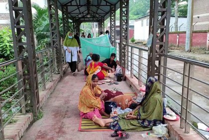 ফরিদপুরে বাড়ছে ডেঙ্গু রোগী

