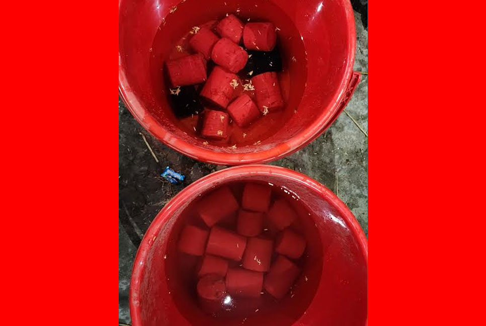 বেনাপোলে ২৩টি ককটেল উদ্ধার