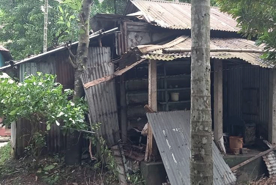 নেত্রকোনায় আকস্মিক ঝড়ে বাড়িঘর-গাছপালা বিধ্বস্ত