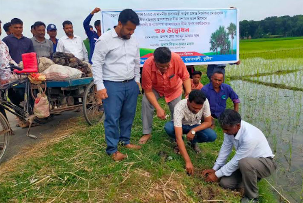 কুমারখালীতে তাল গাছের চারা রোপণ