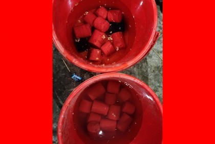 বেনাপোলে ২৩টি ককটেল উদ্ধার