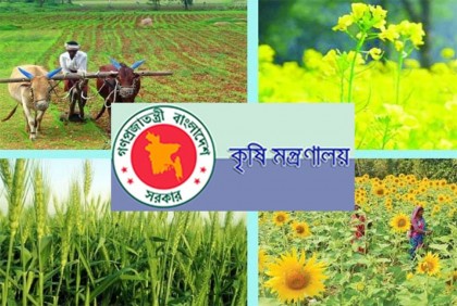 ১০ ফসলের উৎপাদন বাড়াতে ১৮৯ কোটি টাকার প্রণোদনা