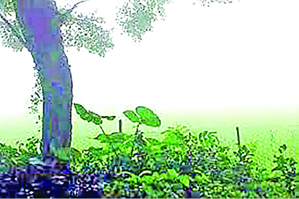 দিনে গরম রাতে ঠান্ডা