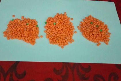 নেত্রকোনায় ইয়াবাসহ যুবক আটক 