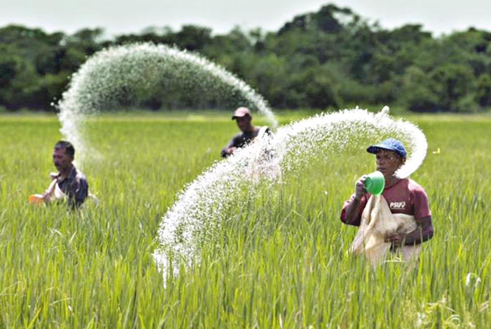 সৌদি-মরক্কো থেকে ৭০ হাজার টন সার কিনবে সরকার


