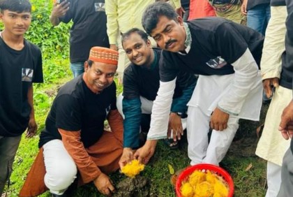 ফুলপুরে ৪ হাজার তালের আঁটি রোপণ 