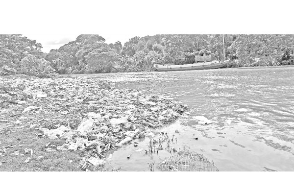 বর্জ্যে বিপন্ন কুমার নদ