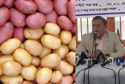 সরকার চাইলে আলুর সিন্ডিকেটের তথ্য দেবে কোল্ড স্টোরেজ অ্যাসোসিয়েশন