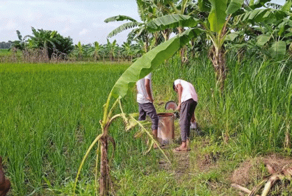 কুষ্টিয়ায় ১৬ মাসে ৬৭ ট্রান্সফরমার চুরি