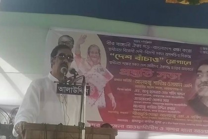 ভালো লোকদের তারেক লাথি দিয়ে বের করে দিয়েছে: শামীম ওসমান 