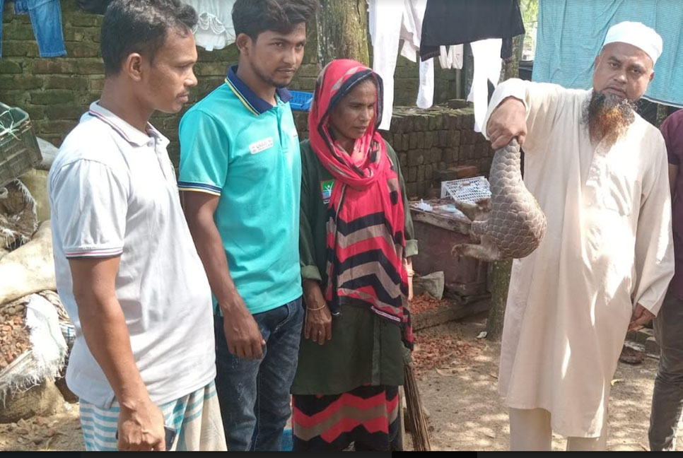 কক্সবাজারে বনরুই উদ্ধার