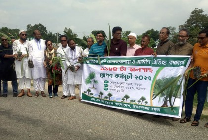 বগুড়ায় বজ্রপাতের ঝুঁকি কমাতে তালগাছের চারা রোপণ