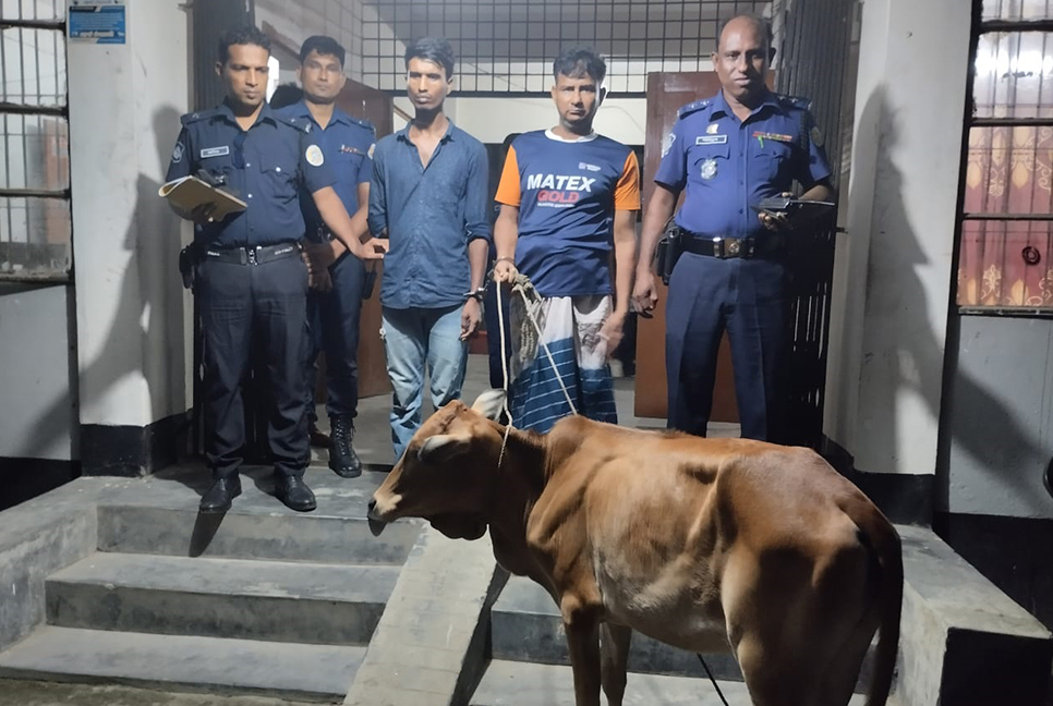 দুমকিতে চোরাই গরু উদ্ধার, গ্রেফতার ২